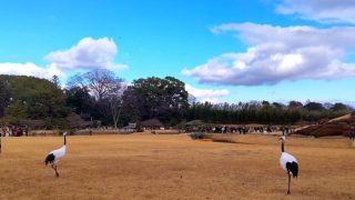 今年も、穏やかな後楽園でお正月を満喫🎵